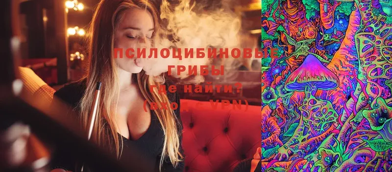 Псилоцибиновые грибы Magic Shrooms  где найти наркотики  Новошахтинск 